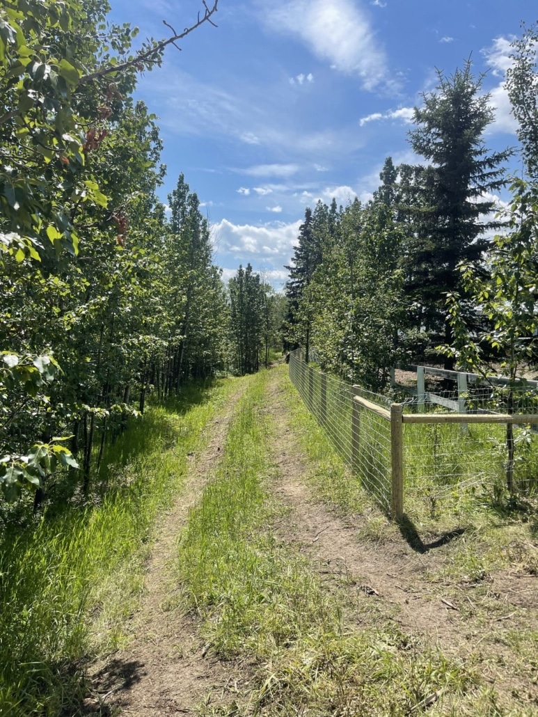 Acreage, Farm and Ranch Fences