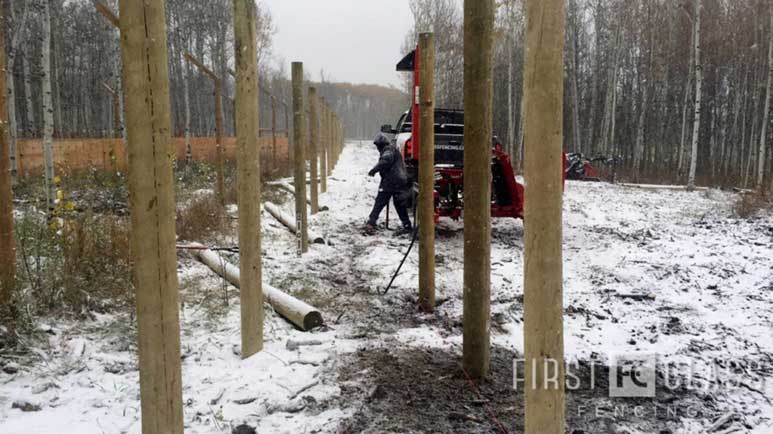 Yamnuska-10ft-game-fence