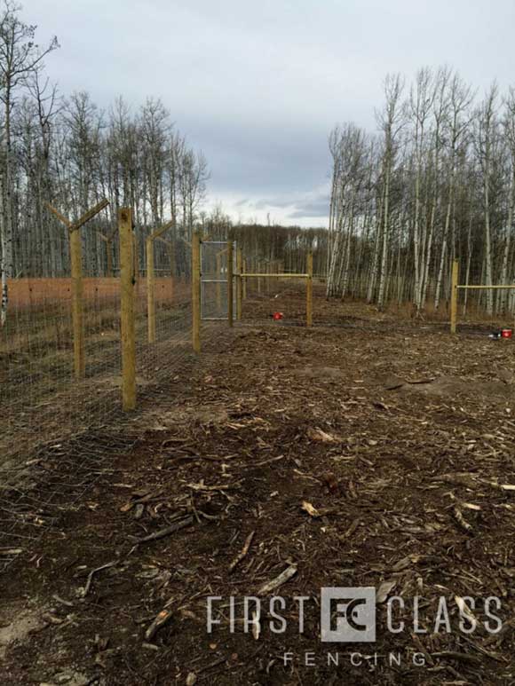 Yamnuska-10ft-game-fence