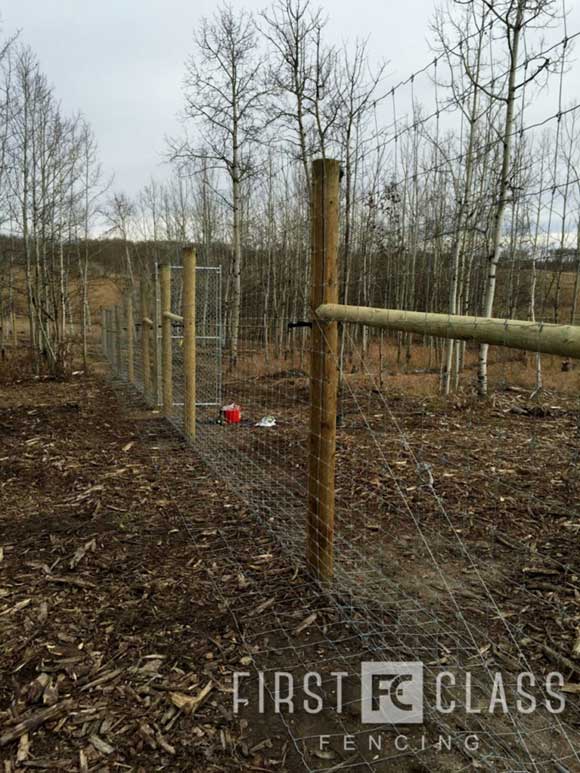 Yamnuska-10ft-game-fence