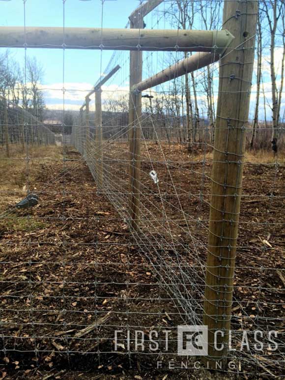 Yamnuska-10ft-game-fence