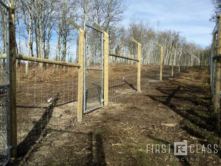 Yamnuska-10ft-game-fence