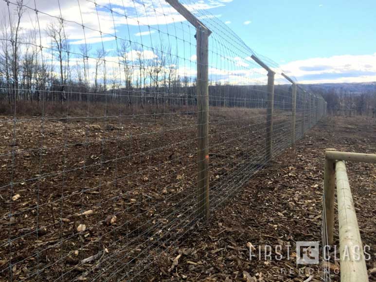 Yamnuska-10ft-game-fence