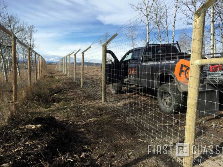 Yamnuska-10ft-game-fence