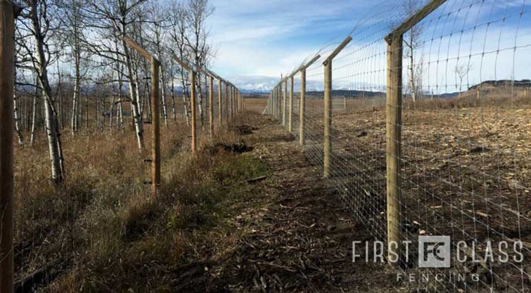 Yamnuska-10ft-game-fence