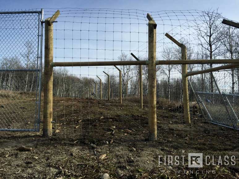 Yamnuska-10ft-game-fence