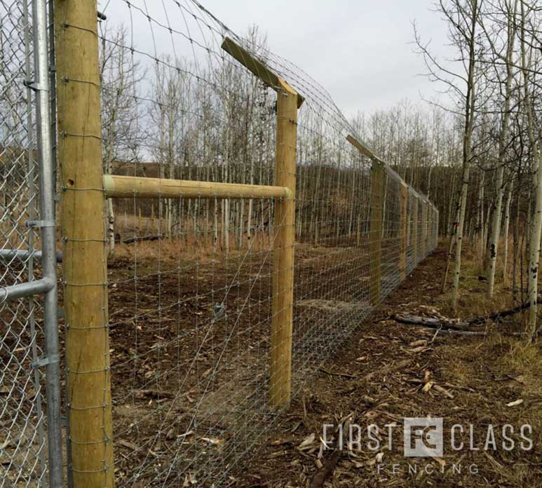 Yamnuska-10ft-game-fence