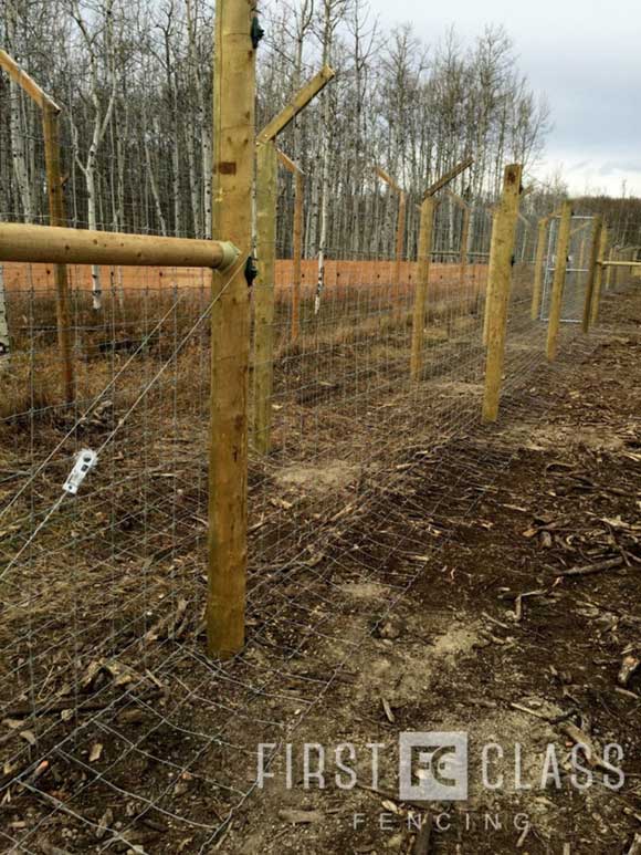 Yamnuska-10ft-game-fence