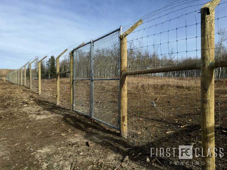 Yamnuska-10ft-game-fence