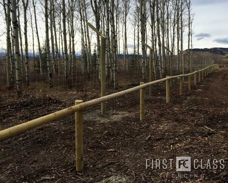 Yamnuska-10ft-game-fence