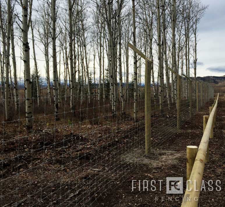 Yamnuska-10ft-game-fence