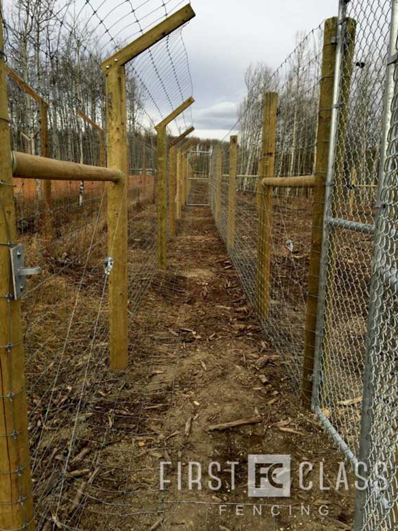 Yamnuska-10ft-game-fence