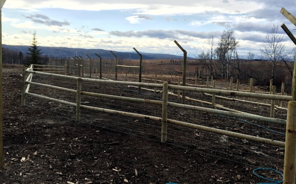 Acreage, Farm and Ranch Fences