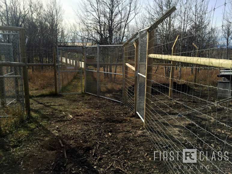 Yamnuska-10ft-game-fence