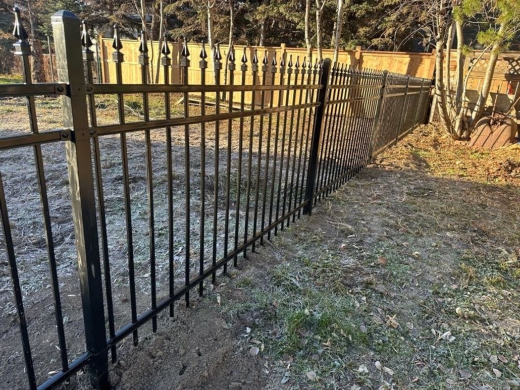 Ornamental Fence