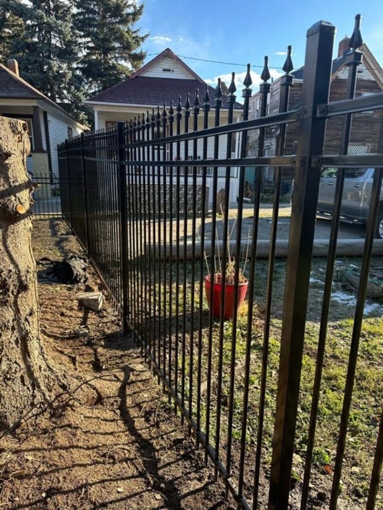 Ornamental Fence