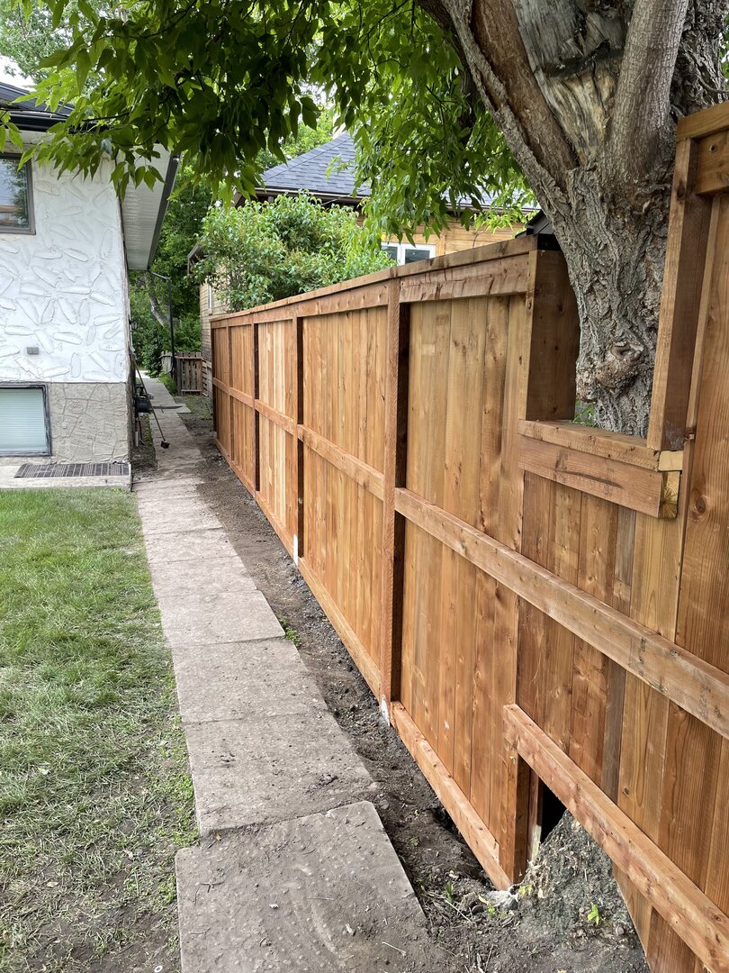 Wood fence around a tree