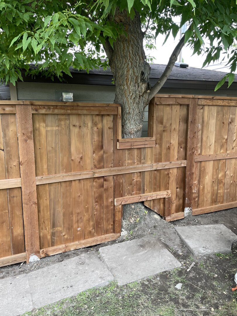 Wood fence around a tree