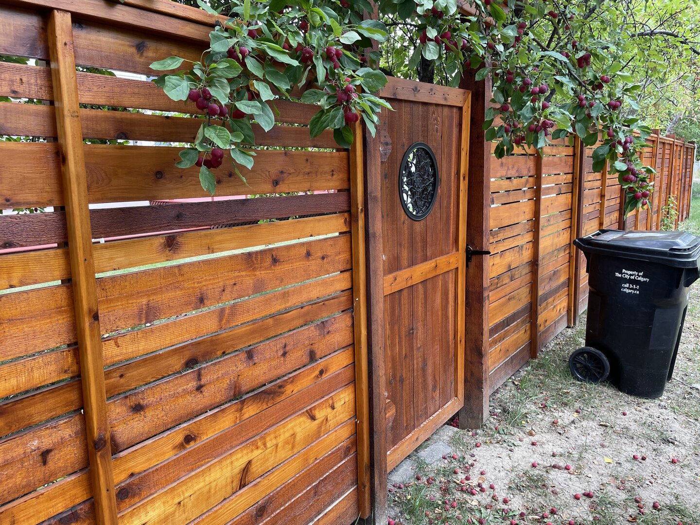 Wood fence