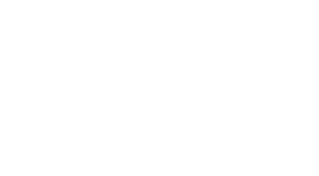 First Class Fencing - Vinyl Fence