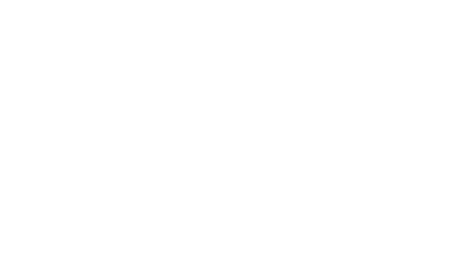 Commercial Fence