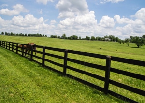 Horse breeders’ fencing