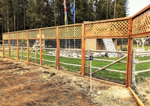 Vegetable garden fencing