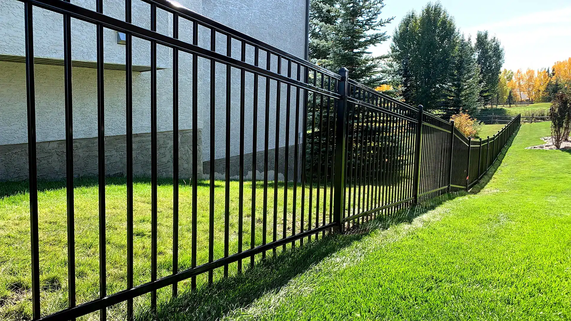 Custom Fence Design