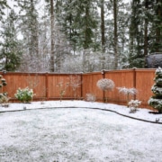 Custom Fence Design