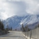 Snow Fencing