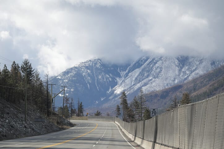 Snow Fencing
