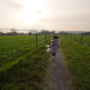 Farm fence