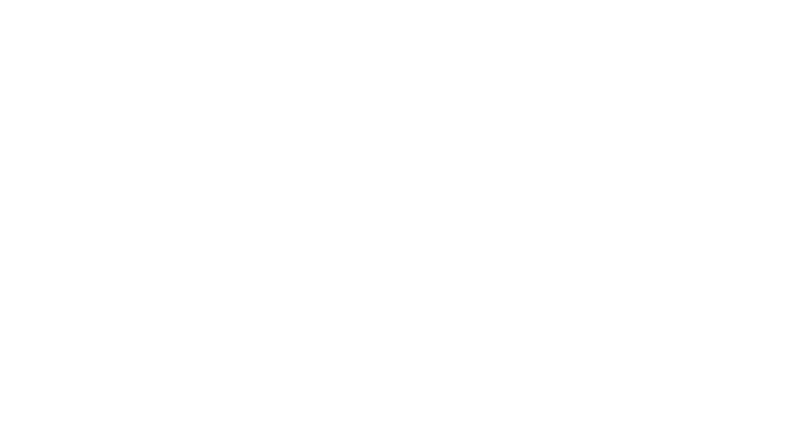 Automatic Gates