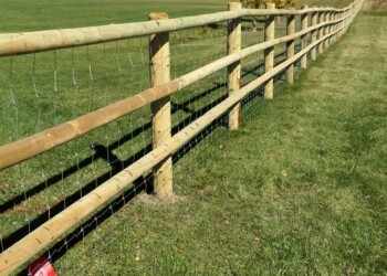 High-Tensile-Wire---Mattea-Neighbour