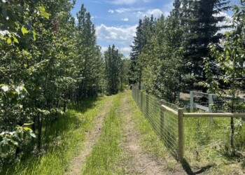 Acreage, Farm and Ranch Fences