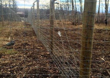 Yamnuska-10ft-game-fence