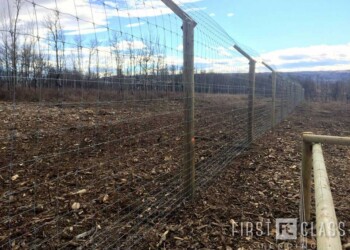 Yamnuska-10ft-game-fence