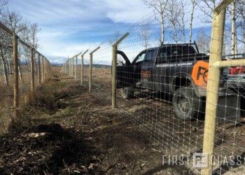 Yamnuska-10ft-game-fence