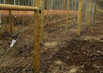 Yamnuska-10ft-game-fence