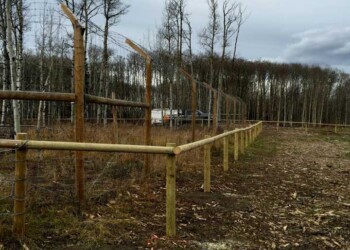Yamnuska-10ft-game-fence