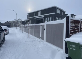 Vinyl Fence