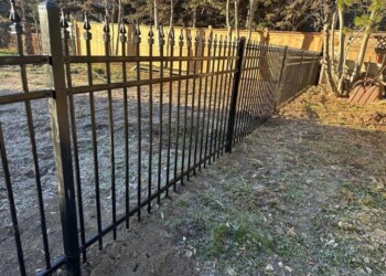 Ornamental Fence